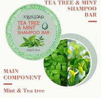 Tea Tree & Mint Shampoo Bar